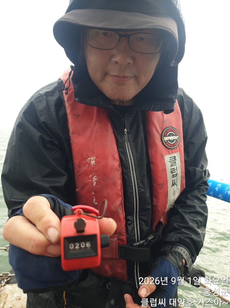 대양호 9월1일 주꾸미 조황